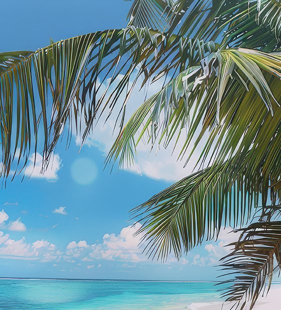 From Cloudy Vision to Clarity - Without Cataracts